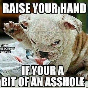 Meet your Posher, Latisha