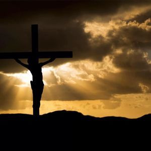 Meet your Posher, Jodi