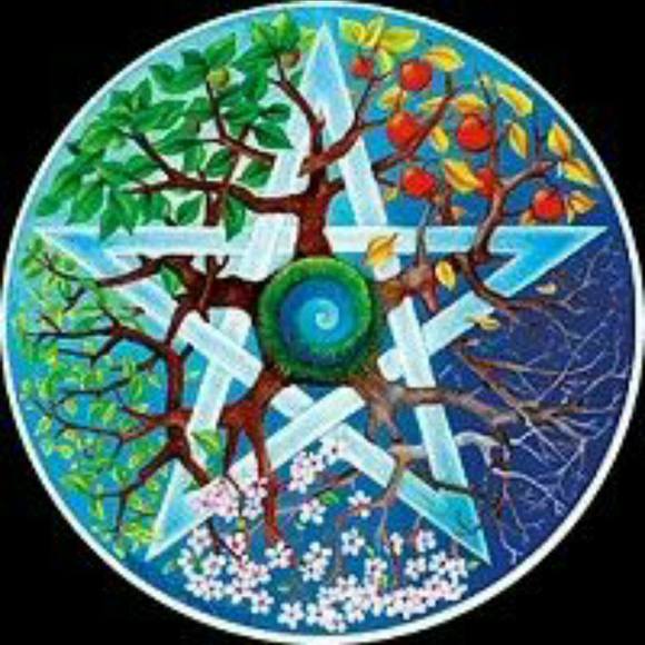 Meet your Posher, Erica - Picture 1 of 1