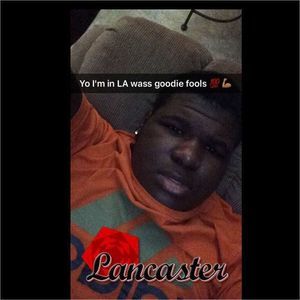 Meet your Posher, Dolph