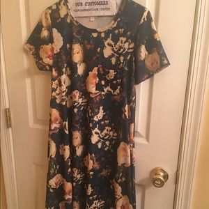 LuLaRoe XS Carly Shift Dress