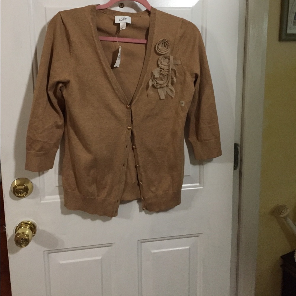 Anntaylor loft sweater Cardigan
