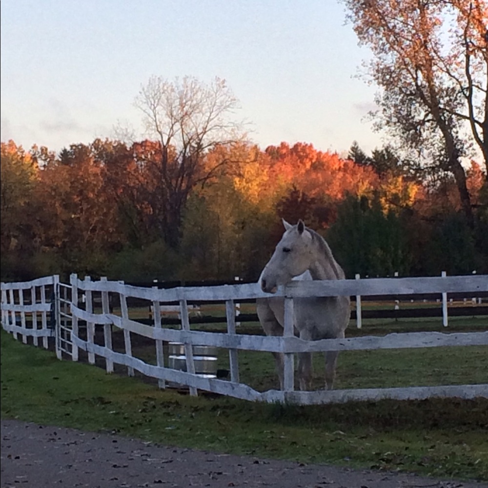 Meet your Posher, Jess