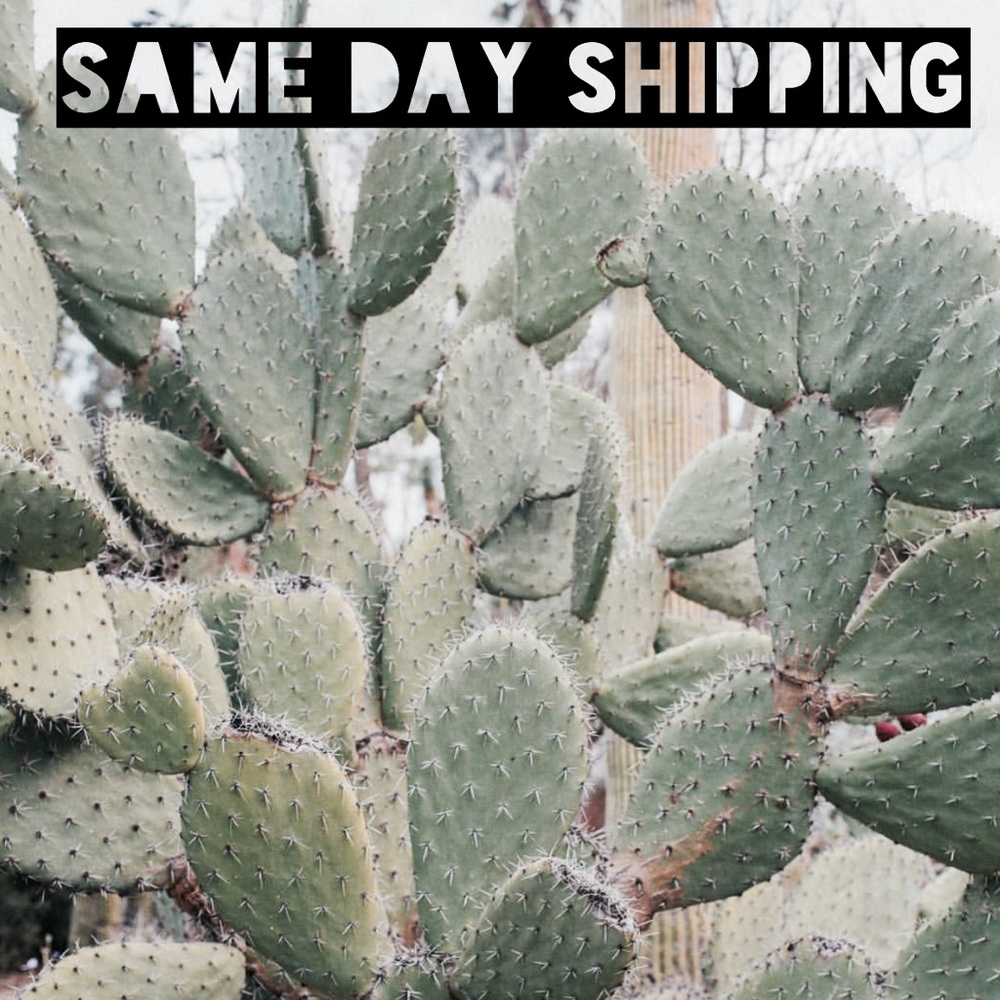 💗Same Day Shipping!💗