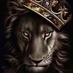 Meet your Posher, Dion