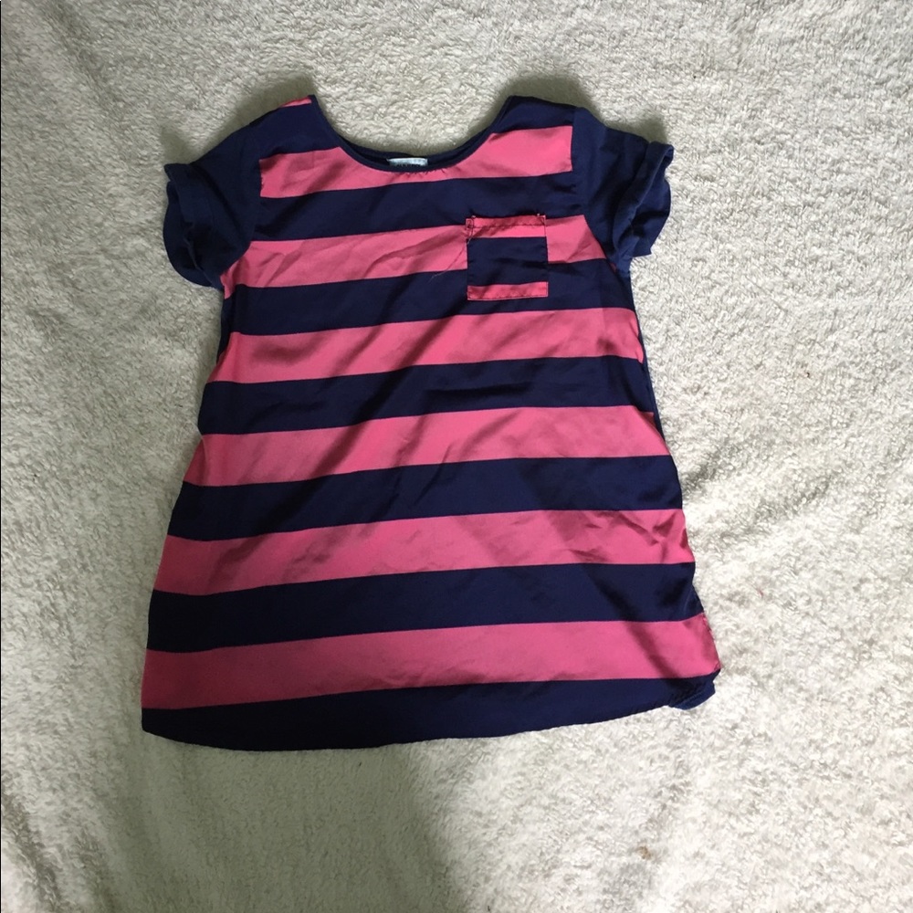 Blue and Pink Striped Flowy Short Sleeved Blouse