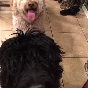 Meet your Posher, Liv