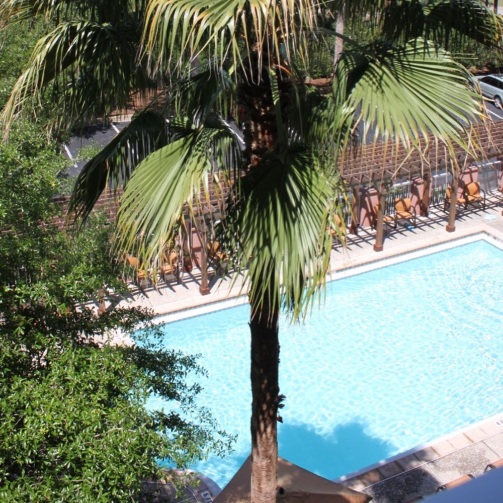 Meet your Posher, Aiyana