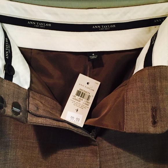 NWT Virgin Wool Pleated Pants - Picture 2 of 6