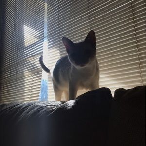 Meet your Posher, Polly