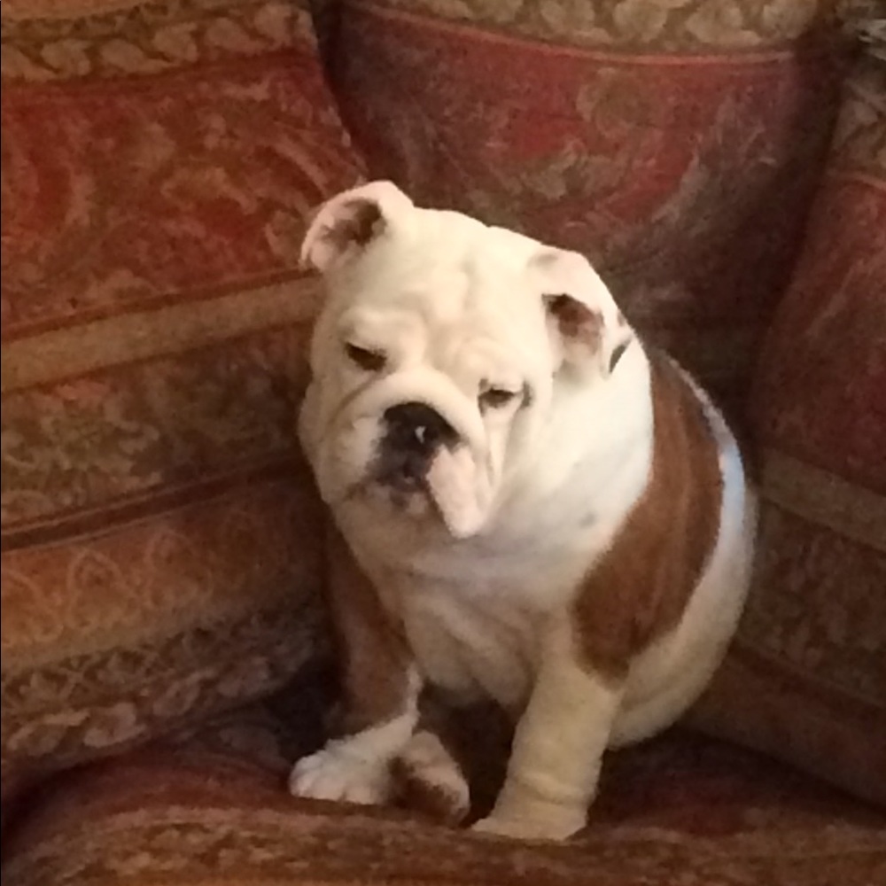 Meet your Posher, Lisa