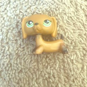 RARE LPS DACHSHUND! #139 FREE GIFT INCLUDED
