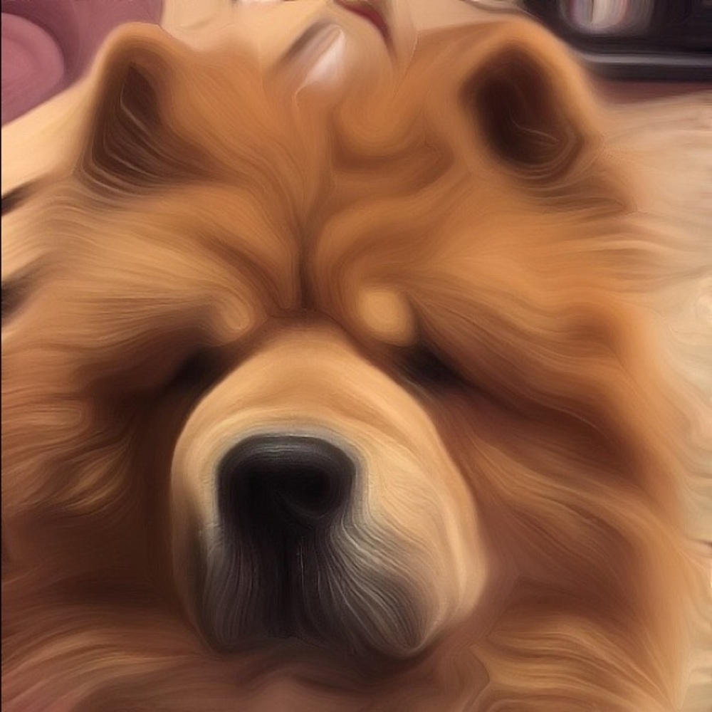 Meet your Posher, Susan