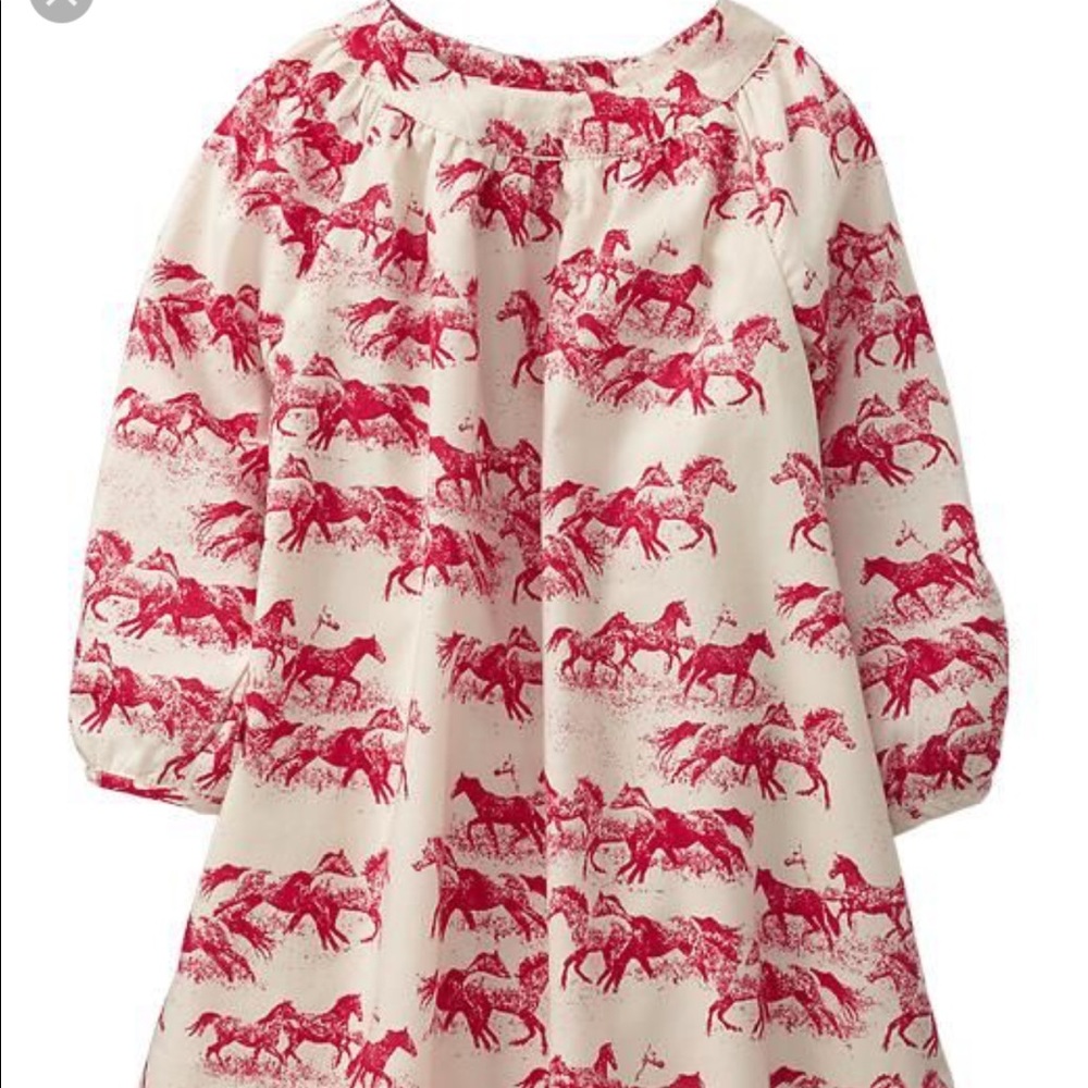 Girl horses dress