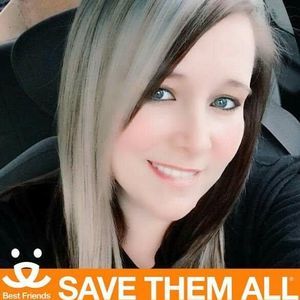 Meet your Posher, Alisha