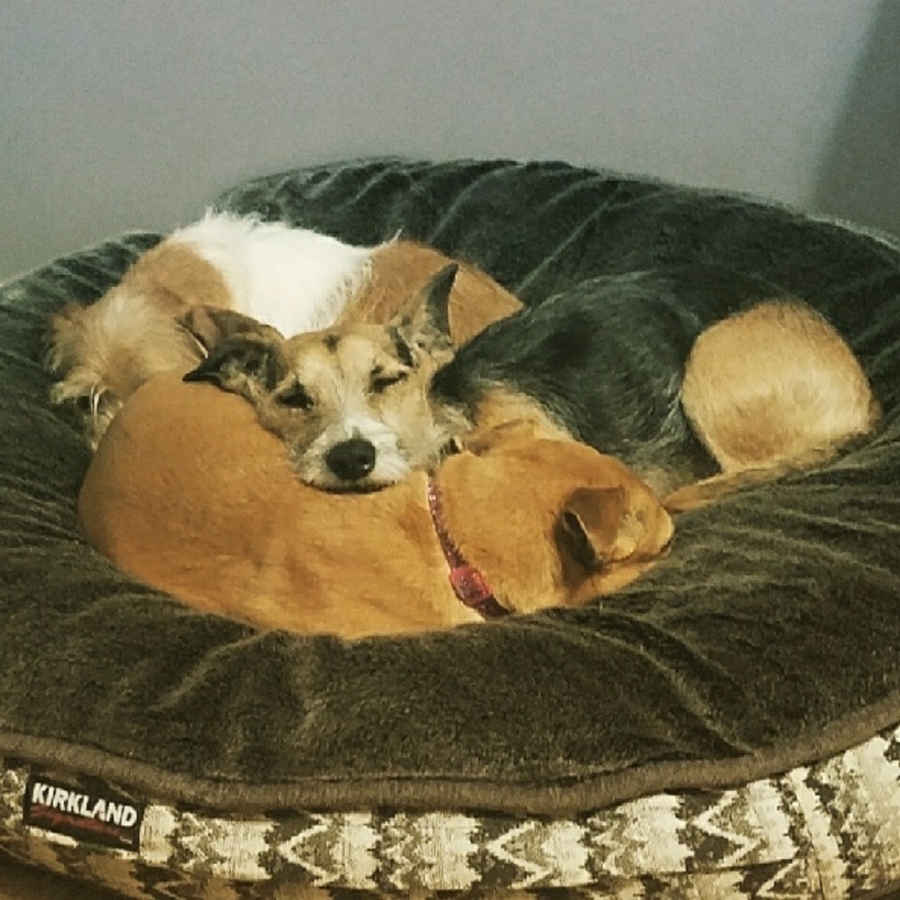 Meet your Posher, Jenn