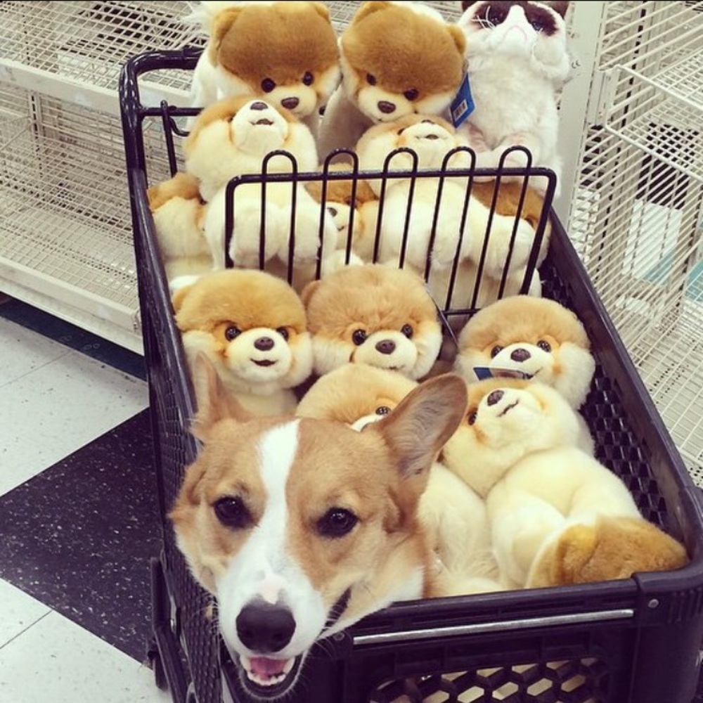 Bundle