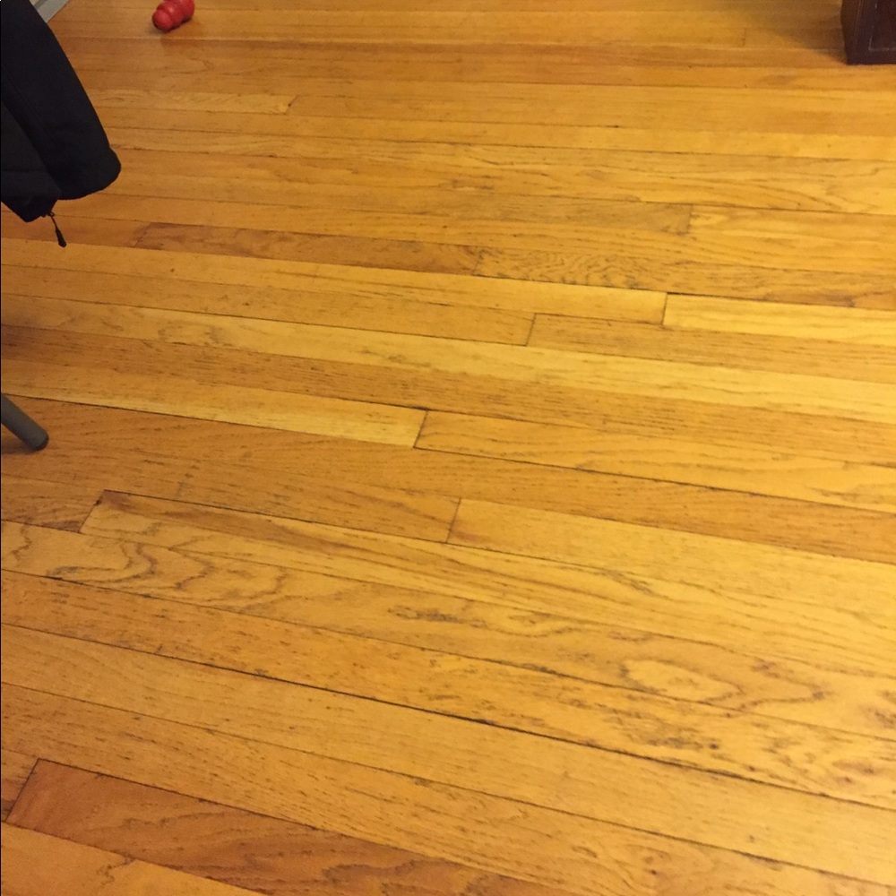 2 pair stand up shorts