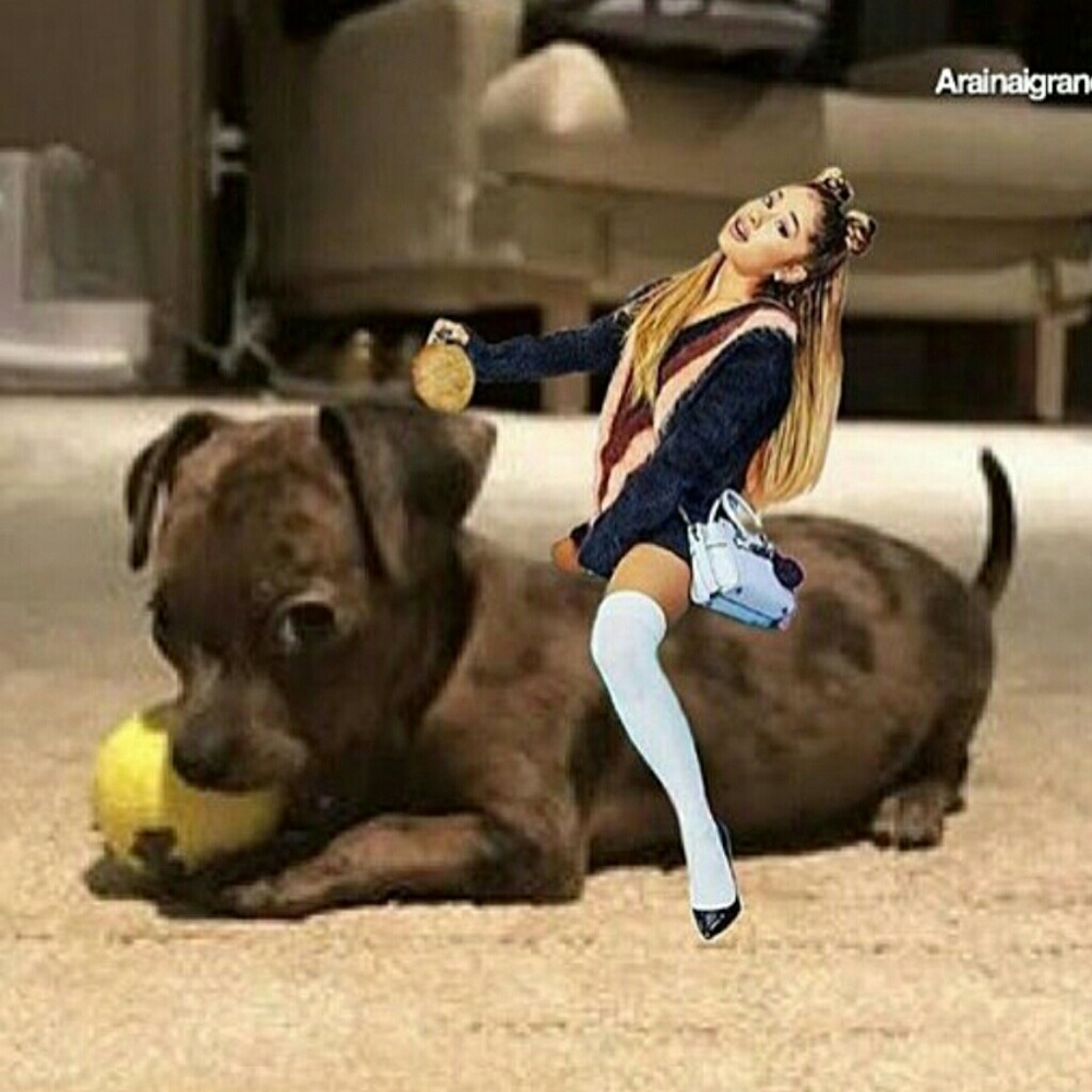 Meet your Posher, Taylor