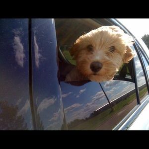 Meet your Posher, Marie