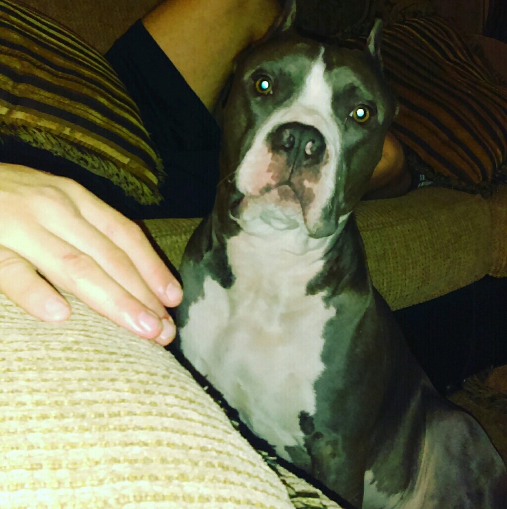 My baby is 3!