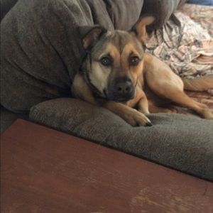 Meet your Posher, Kerry