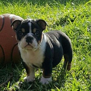 Meet your Posher, Rodney