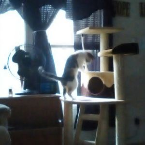 Meet your Posher, Cheryl