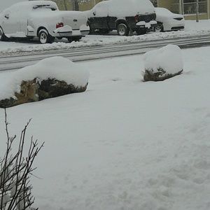 Meet your Posher, Ericka