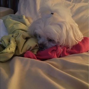 Meet your Posher, Teresa