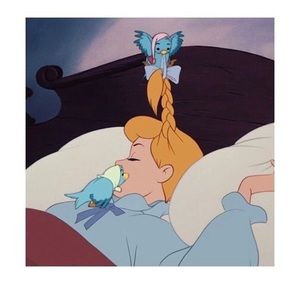 Meet your Posher, Kang ling