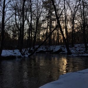 Meet your Posher, Rory