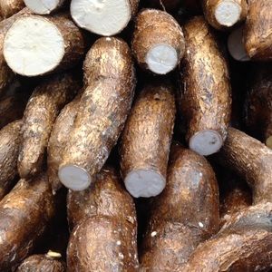 Meet your Posher, Alla