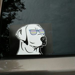 Meet your Posher, Terri