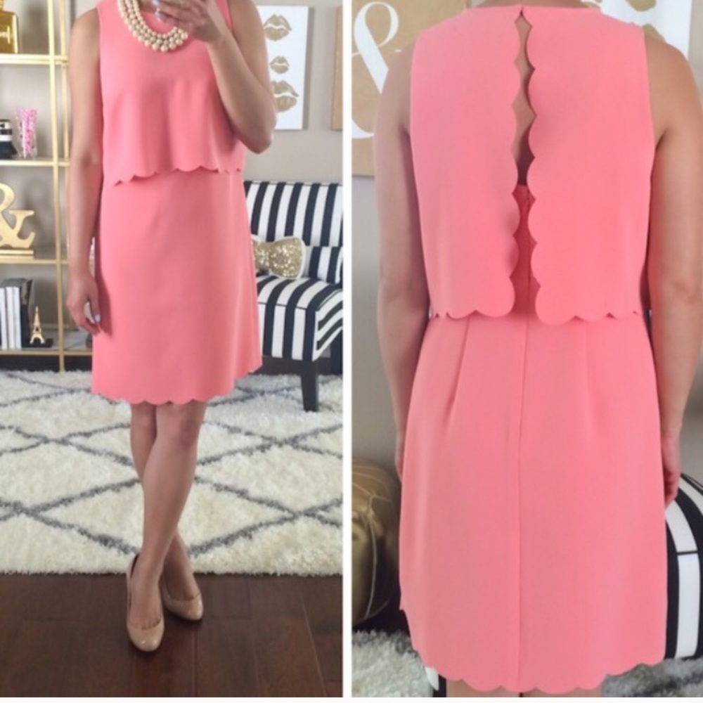 NWOT Loft Dress