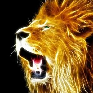 Meet your Posher, Jeff