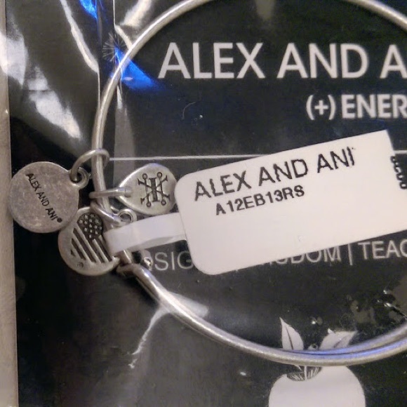 Alex & Ani Apple of Abundance Charm Bangle - Picture 4 of 6