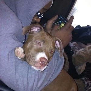 Meet your Posher, Bookie