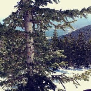 Meet your Posher, Kenny