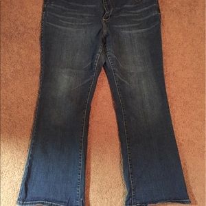 Lane Bryant bootcut jeans