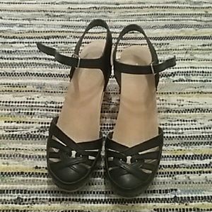 Black Swedish Hasbeens