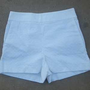 Express Shorts *REMOVING 24 Hours*