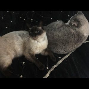 Meet your Posher, Colette