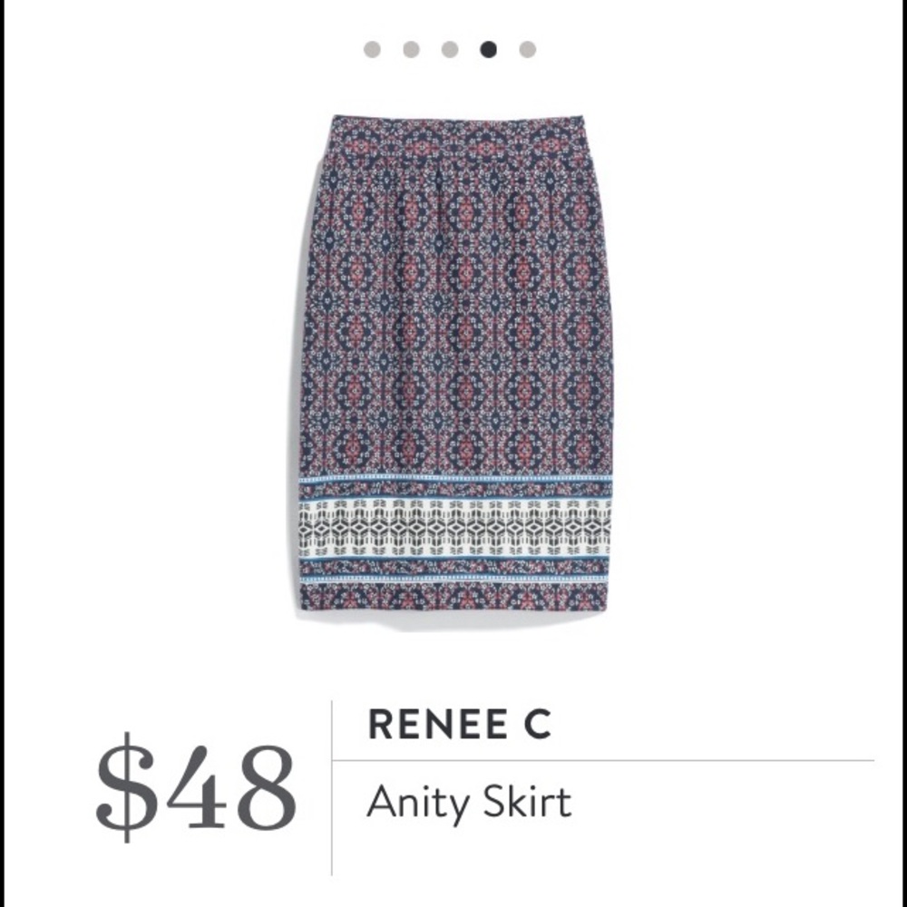 Stitch Fix - New Renee C, Navy Skirt