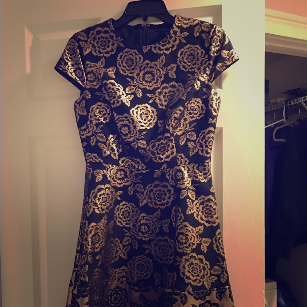 Gorgeous Cynthia Steffe Statement Dress