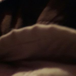 Meet your Posher, Arnita