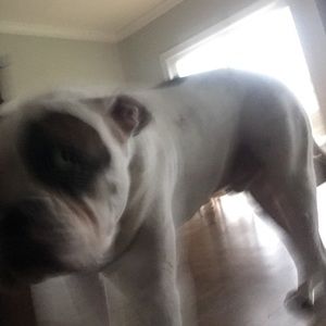 Meet your Posher, Matthew