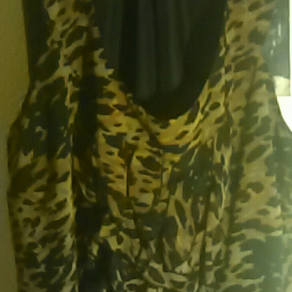 Lane bryant