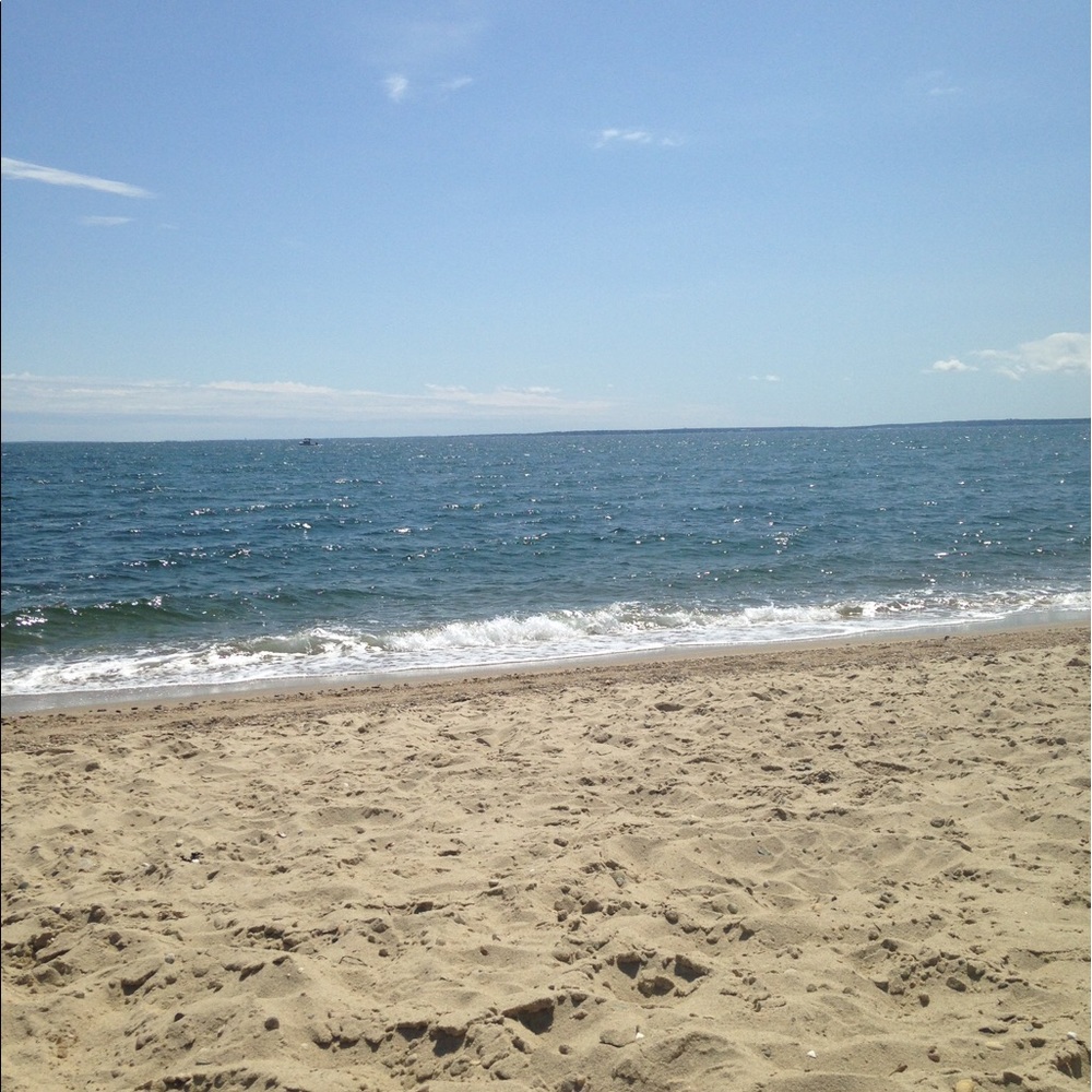 Meet your Posher, Ann