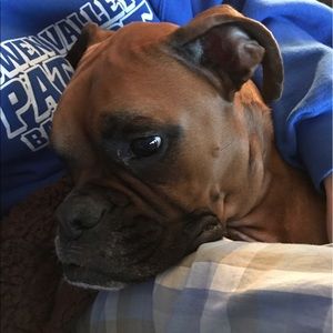 Meet your Posher, Shelly